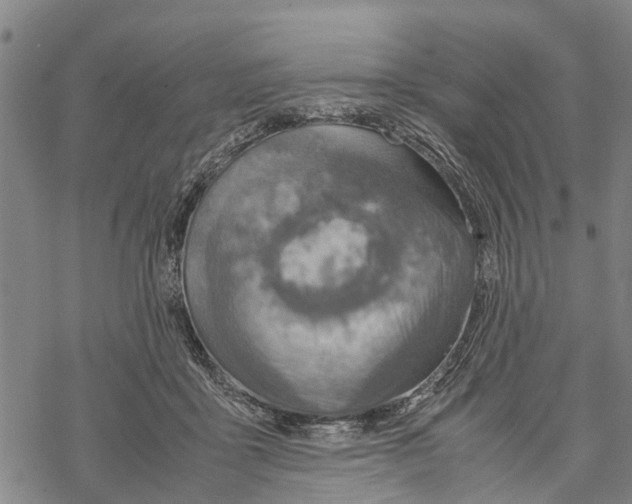 X0000067480411200605051717