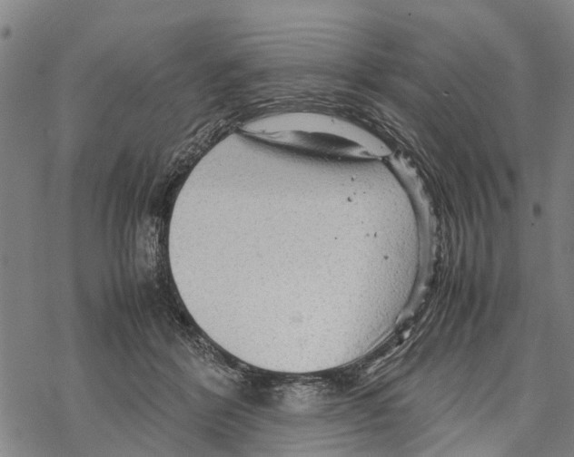 X0000067480412200605051717