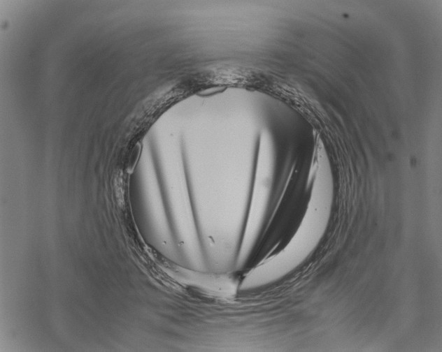 X0000067480413200605051717