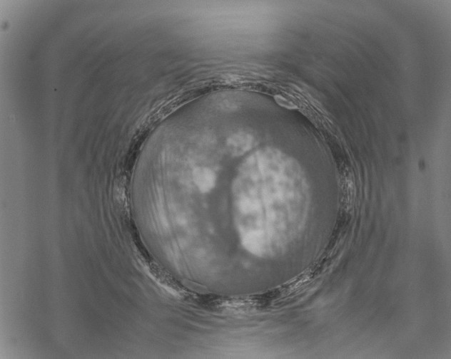 X0000067480415200605051717