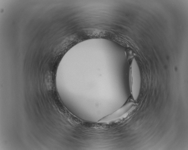 X0000067480416200605051717