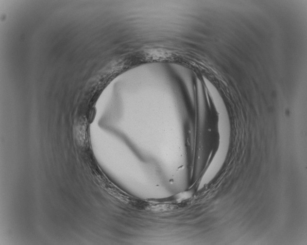 X0000067480417200605051717