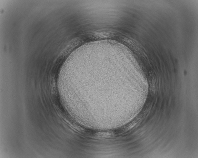 X0000067480418200605051717