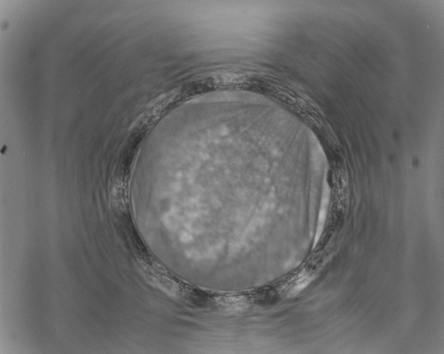 X0000067480419200605051717