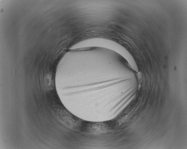 X0000067480420200605051717