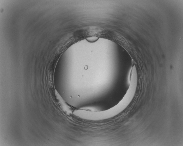 X0000067480421200605051717