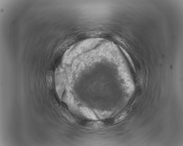 X0000067480427200605051717