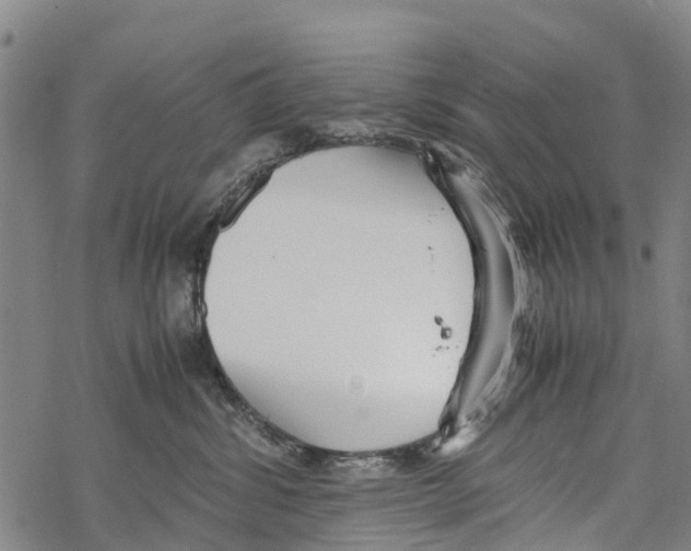 X0000067480428200605051717