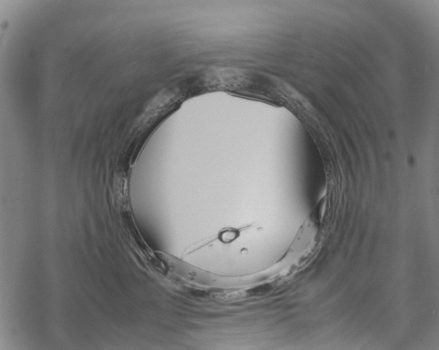 X0000067480429200605051717