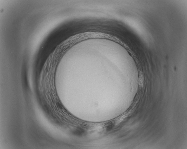 X0000067480431200605051717