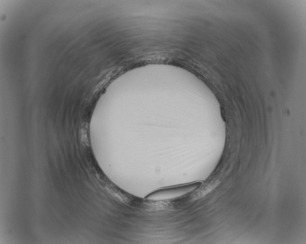 X0000067480432200605051717