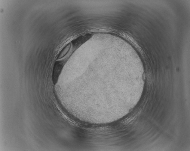 X0000067480433200605051716