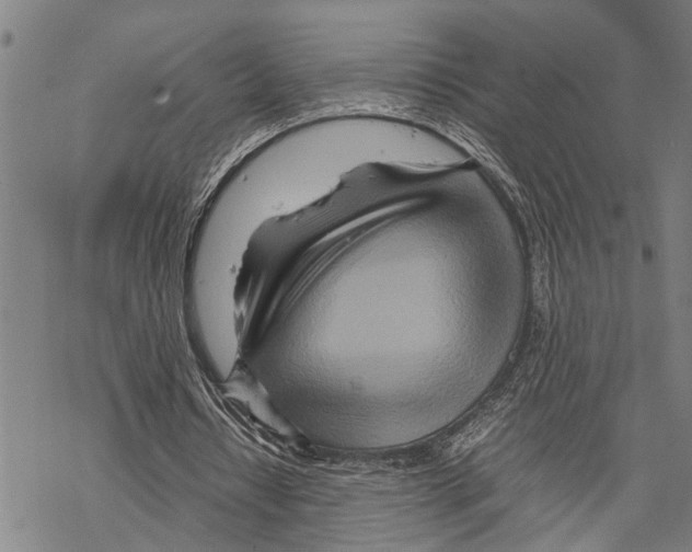 X0000067480434200605051716