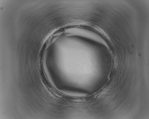 X0000067480436200605051716