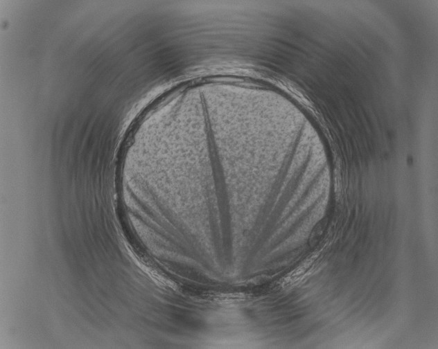 X0000067480438200605051716