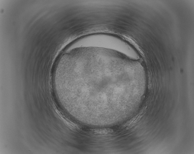 X0000067480439200605051716