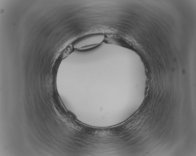 X0000067480440200605051716