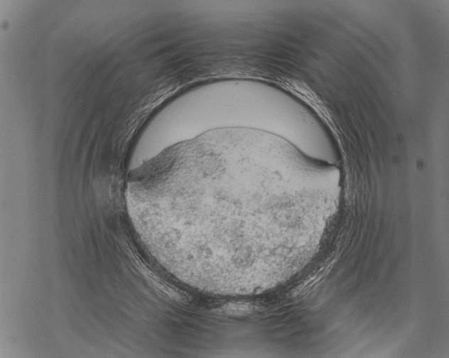 X0000067480441200605051716