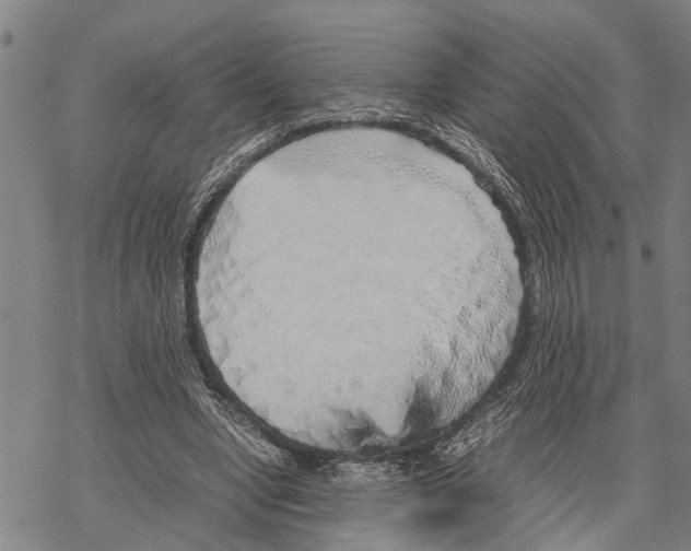 X0000067480442200605051716