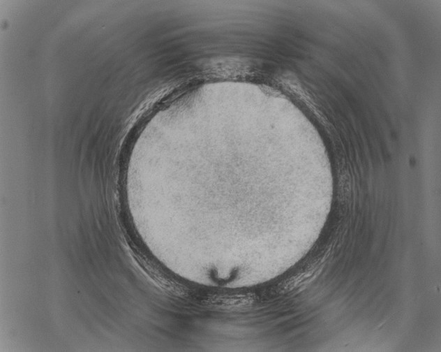 X0000067480443200605051716