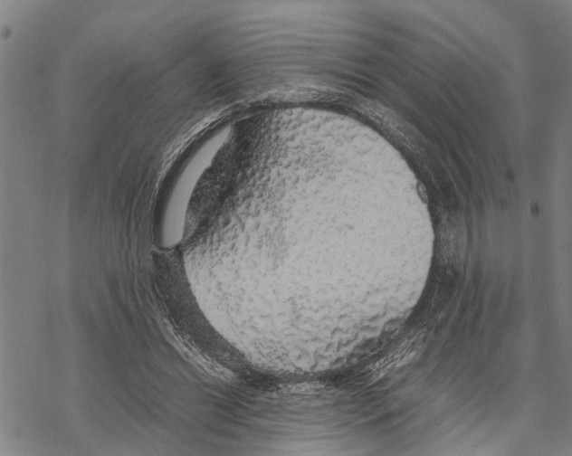 X0000067480446200605051716