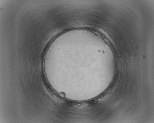 X0000067480447200605051716