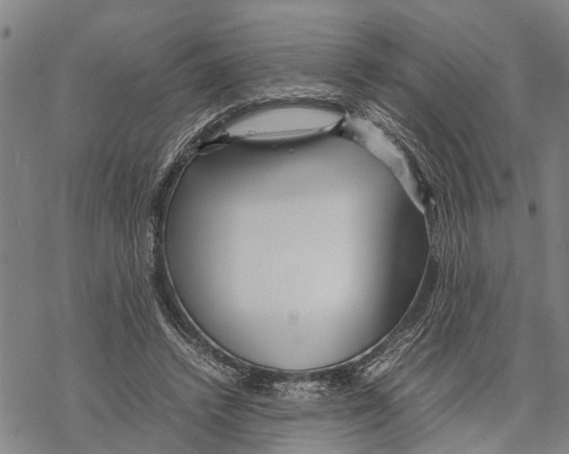 X0000067480448200605051716