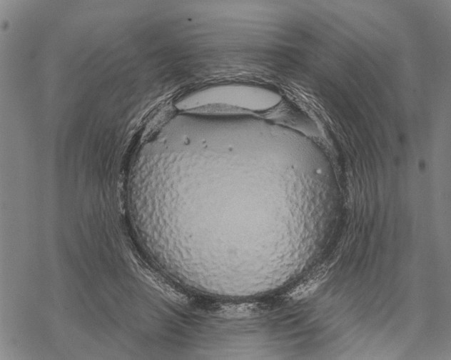 X0000067480450200605051716