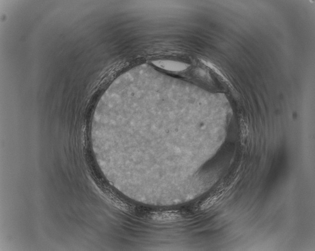 X0000067480451200605051716