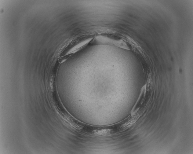 X0000067480452200605051716