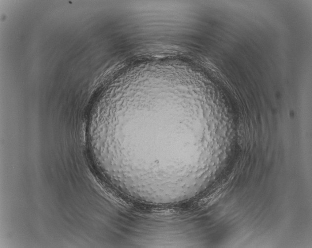 X0000067480454200605051716