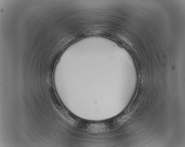 X0000067480455200605051716