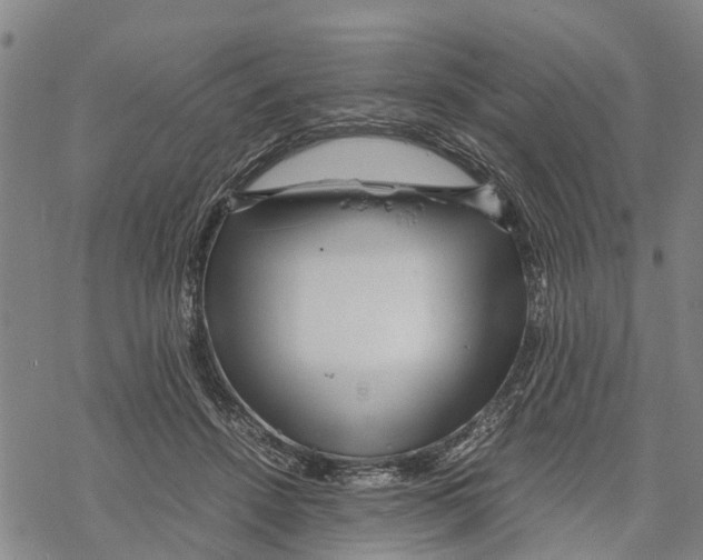 X0000067480456200605051716