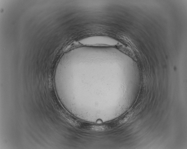 X0000067480457200605051716