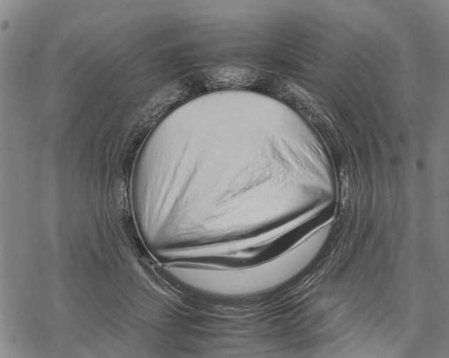 X0000067480459200605051716