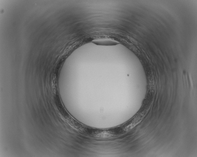 X0000067480460200605051716