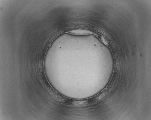 X0000067480461200605051717