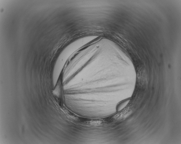 X0000067480462200605051717