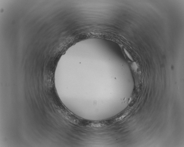 X0000067480464200605051717