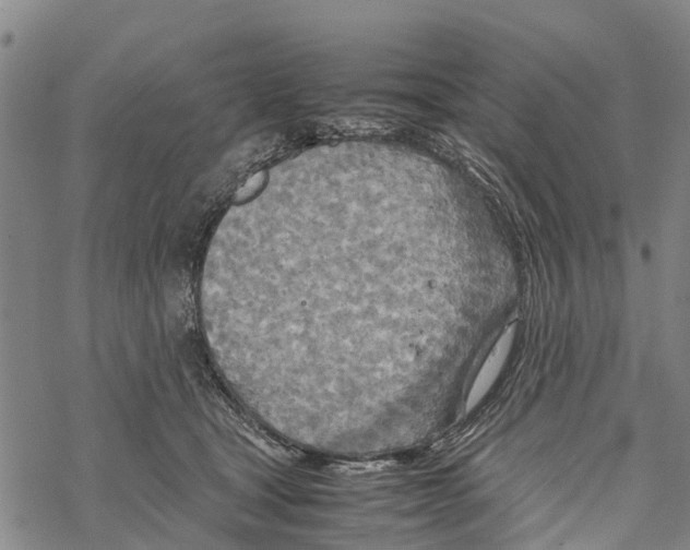 X0000067480465200605051717