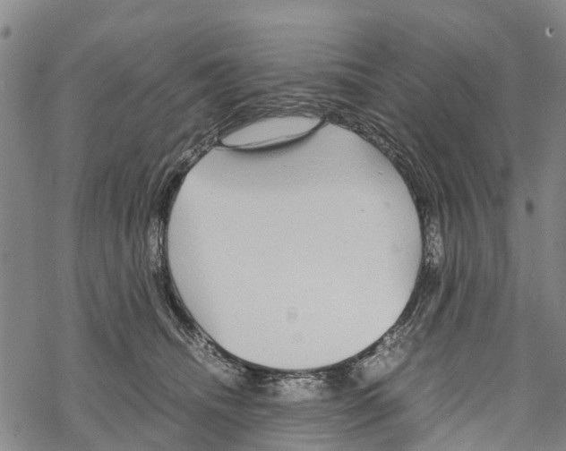 X0000067480468200605051717