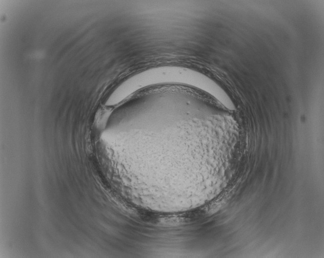 X0000067480470200605051717