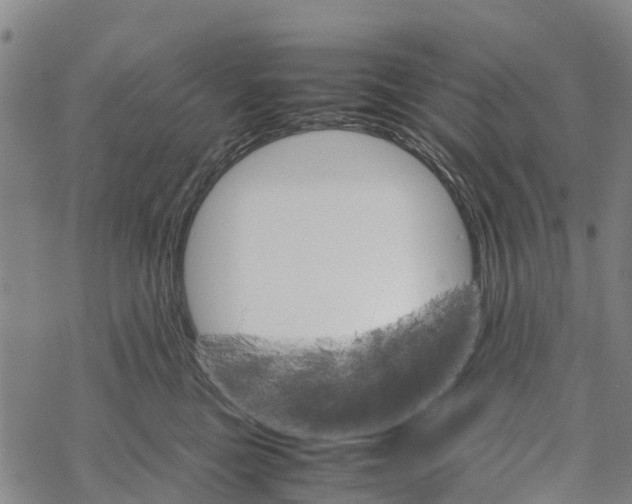 X0000067480473200605051717