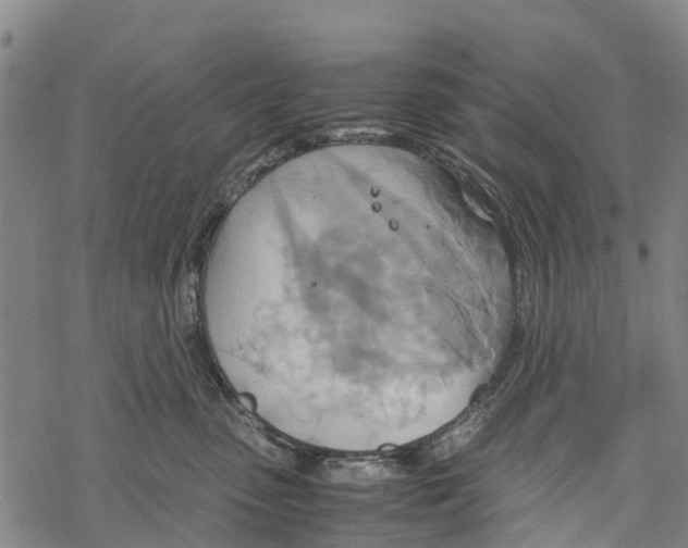 X0000067480475200605051717