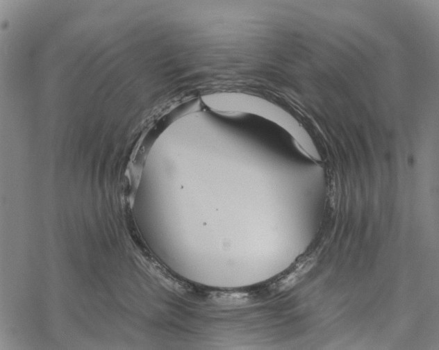 X0000067480476200605051717