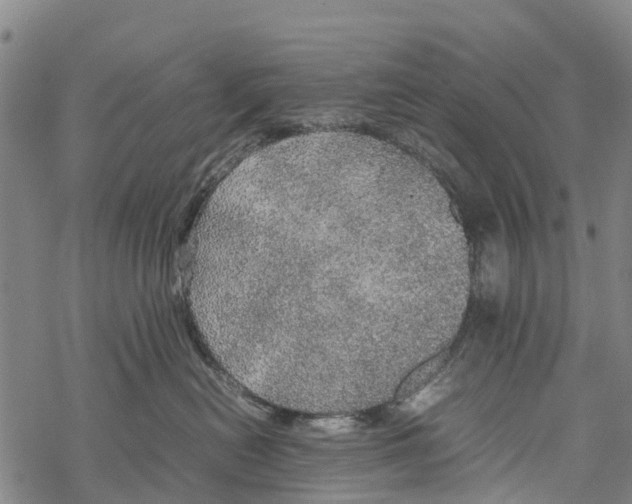 X0000067480478200605051717