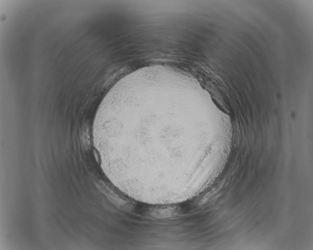 X0000067480479200605051717