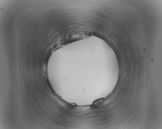 X0000067480480200605051717