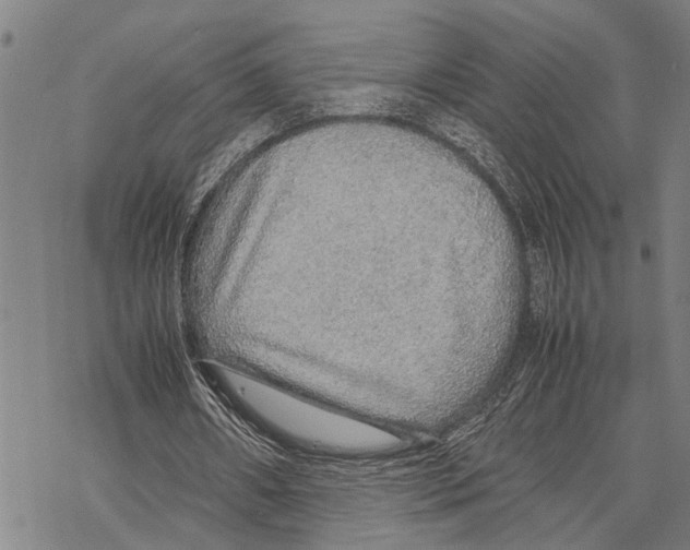 X0000067480482200605051716