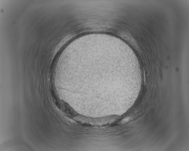 X0000067480483200605051716